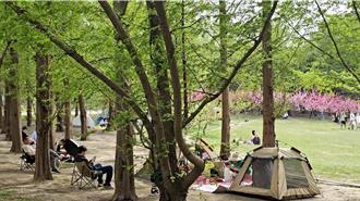 北京人流行在公園度假 省錢不消費了