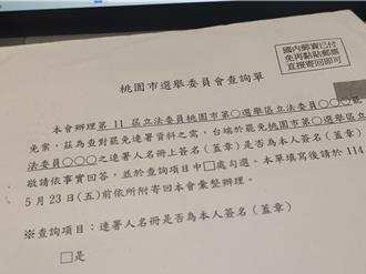 詹江村爆桃六選區有死亡連署 呼籲別辦藍不辦綠