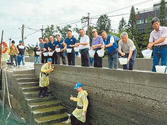 六輕放流魚苗58萬尾 存活率2成