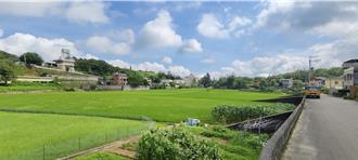 買農地別當冤大頭！苗縣府曝陷阱少幾個字價值差很多