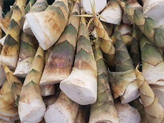 低卡高纖又抗老 專家激推綠竹筍：2族群有禁忌