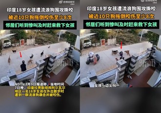 太恐怖！ 18歲印女遭野狗群圍攻　住戶衝出救人