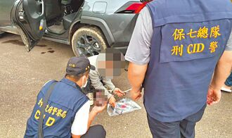 台中 3移工涉猎售石虎 主嫌收押