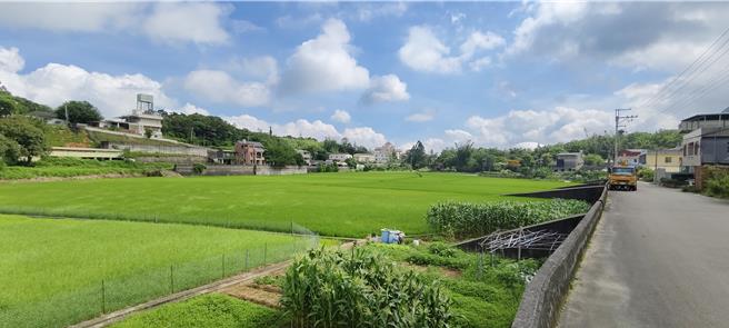 苗栗縣政府提醒農地蓋農舍須有單一農地二分半以上才符規定。（謝明俊攝）
