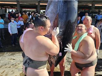 日本力士扛黑鮪魚！東港挑戰224公斤魚王 漁會盼重啟銷日