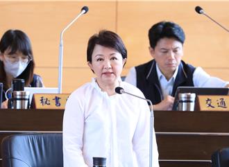  盧秀燕拋「第3方案」挺政院追加預算