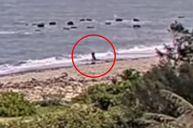 酒店妹與客戶遊花蓮遭殘殺。（圖／翻攝畫面）