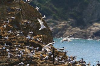 「馬祖海洋觀光」活動開跑 用海上視角重新認識馬祖