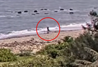 酒店妹遭狂毆拖入海溺斃！司機曝案發日「臨時變計畫」 兩人關係密切