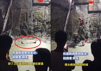 网路直播衝现场吃瓜　直击捕捉鱷鱼惊险过程