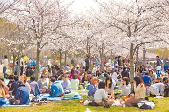日本擬取消觀光客免稅 惹議