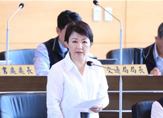 盧秀燕嗆法院是執政黨開的！對補助款訴願結果悲觀