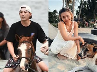 獨家》吳婉君被家暴又爆神復合！趙駿亞本人低調回應了