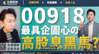 股息、價差雙頭賺 「勝率比老手高」 大俠武林欽點00918等5檔 最強存股策略曝光