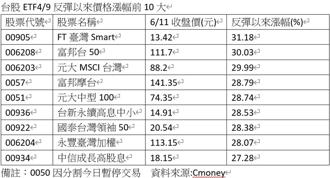 台股重返榮耀！分析師：反彈主升段啟動 十大績效亮眼ETF出列