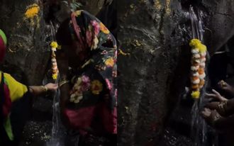 神奇鳳凰木「湧治癒水」！印度民眾搶喝祭拜 真相超傻眼