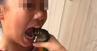 「鹦鹉牙医」帮人拔牙惹议　医生：恐染2传染病