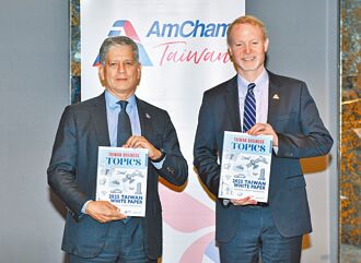 美商會：擴大外資先穩能源