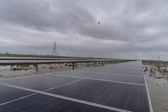 雲豹、泓德 前五月營收翻倍