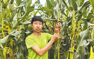 台中青農 打造都會溫馨田園