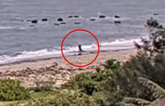 酒店妹與客戶遊花蓮遭殘殺。（圖／翻攝畫面）