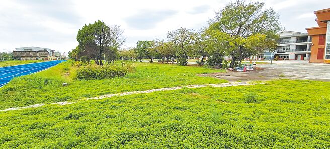 苗栗县政府为解决后龙国中10年来无运动场的困境，斥资2.3亿元完成土地徵收，但教育部迟不核准兴建经费，县长锺东锦10日在县务会议怒批教育部很混。图为后龙国中运动场用地。（谢明俊摄）