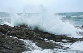 從蝴蝶颱風殘骸「自立門戶」 專家揭熱帶低壓成颱機率
