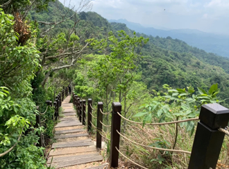 台中大坑步道驚見「2公尺龍皮」 驚悚畫面曝