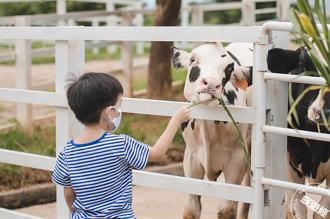 雲朗觀光旗下各據點 針對盛夏推主題活動