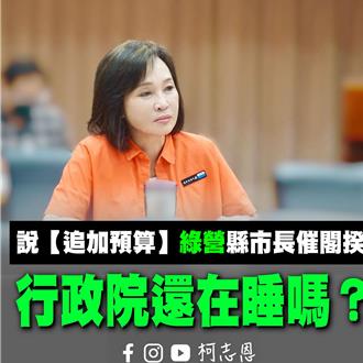 綠營南部諸侯集體抗議！ 柯志恩：陳其邁等於向總統「告御狀」