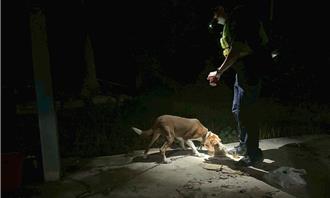 不是亂叫！台東關山「餓犬」狂吠求助 警送罐頭救援