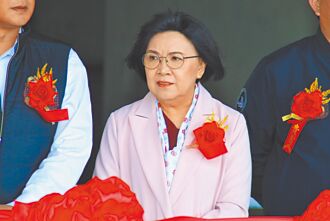 政院南辦副執行長陳慧玲收押 遭解職