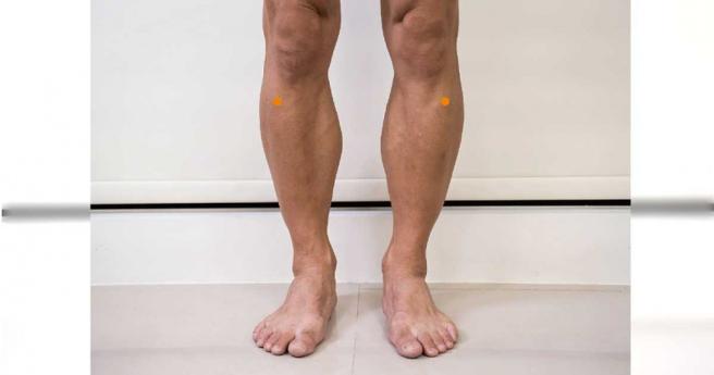 足三里穴位置圖。（圖／周亞錚提供）