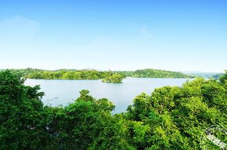 臺南不只古蹟美食！魚頭君帶路 精選水庫、埤塘、濕地消暑一夏