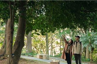 新北6處「城市覓徑」大公開 不必跑郊區也能享受大自然