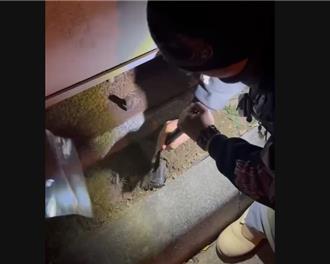 台中甜點店夫妻製大麻巧克力、毒軟糖 警查扣千萬毒品