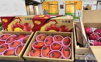 農產品外銷再拓展 歐盟即日起開放我國芒果、芭樂輸入