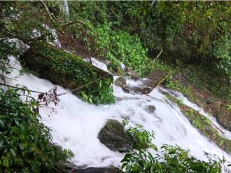 北大武山豪雨多處崩塌 多條登山步道暫停開放