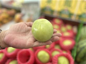 屏东九如「冰淇淋果」丰收！产量增5倍 农会推广价尝鲜