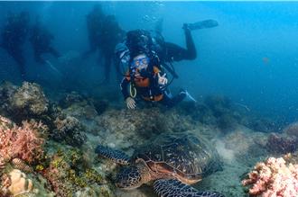 綠蠵龜、小丑魚成觀禮嘉賓 屏東2國小潛水畢典登場