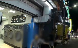 又有狗隨機咬傷！女飼主：牠自己出門散步 動保處說話了