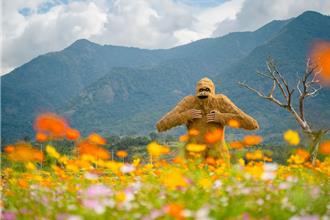 夏戀花蓮》觀光熱區《小王子》聯名主題遊 康養之旅精彩玩