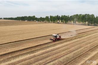 農田變智慧大腦！5G物聯網＋AI助陸耕種效率暴增