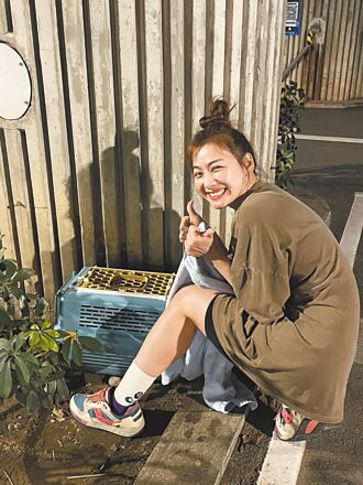 邵庭半夜救老貓 驚見前世緣