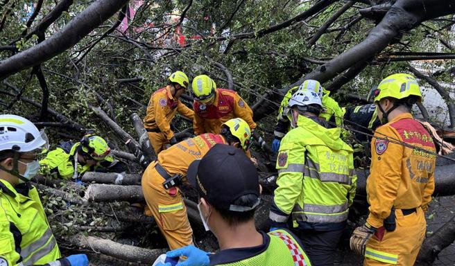 榕樹突在無預警情況下倒塌，砸中吳姓男碩士生，緊急送醫後仍傷重不治。（翻攝畫面）