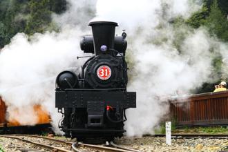 阿里山賓館推「福森號蒸汽火車ｘ雲端國度ｘ曙光日出」復古小火車之旅