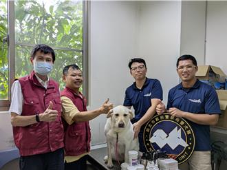 警察節暖心加碼！新北警犬獲「健康大禮包」