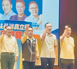 愛國者開戰 藍大咖催投不同意罷免