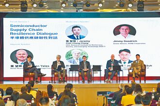 維穩半導體 葉望輝：台應投資先進能源