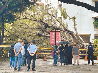 逢甲校樹奪命 親友哀戚招魂